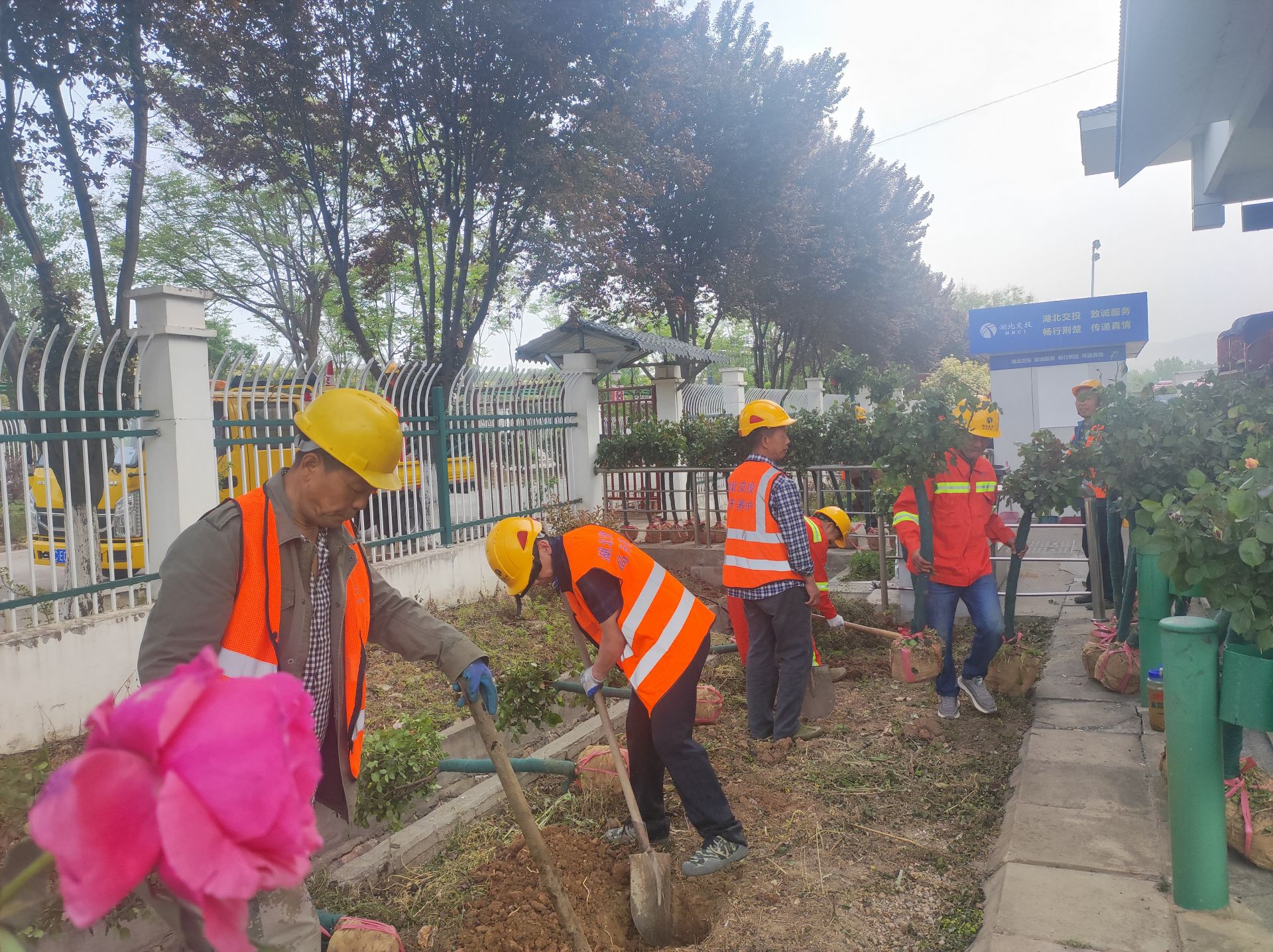 與養(yǎng)護單位合作，開展收費現(xiàn)場靚化工作.jpg.jpg