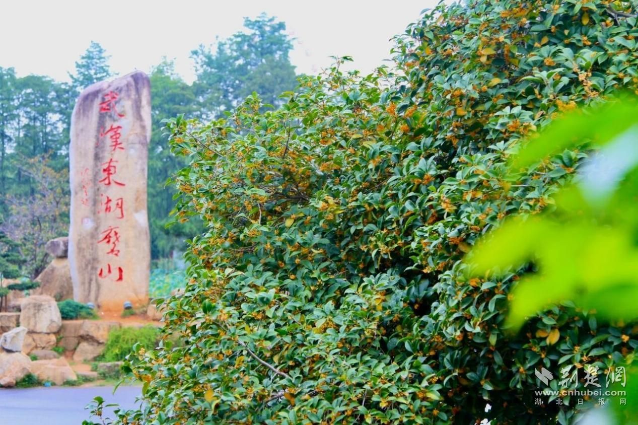 148571759300175_.pic_hd